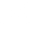 AI Agent as digital adviser